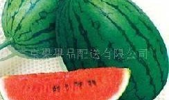 吃瓜网51官网版,热门资讯一网打尽